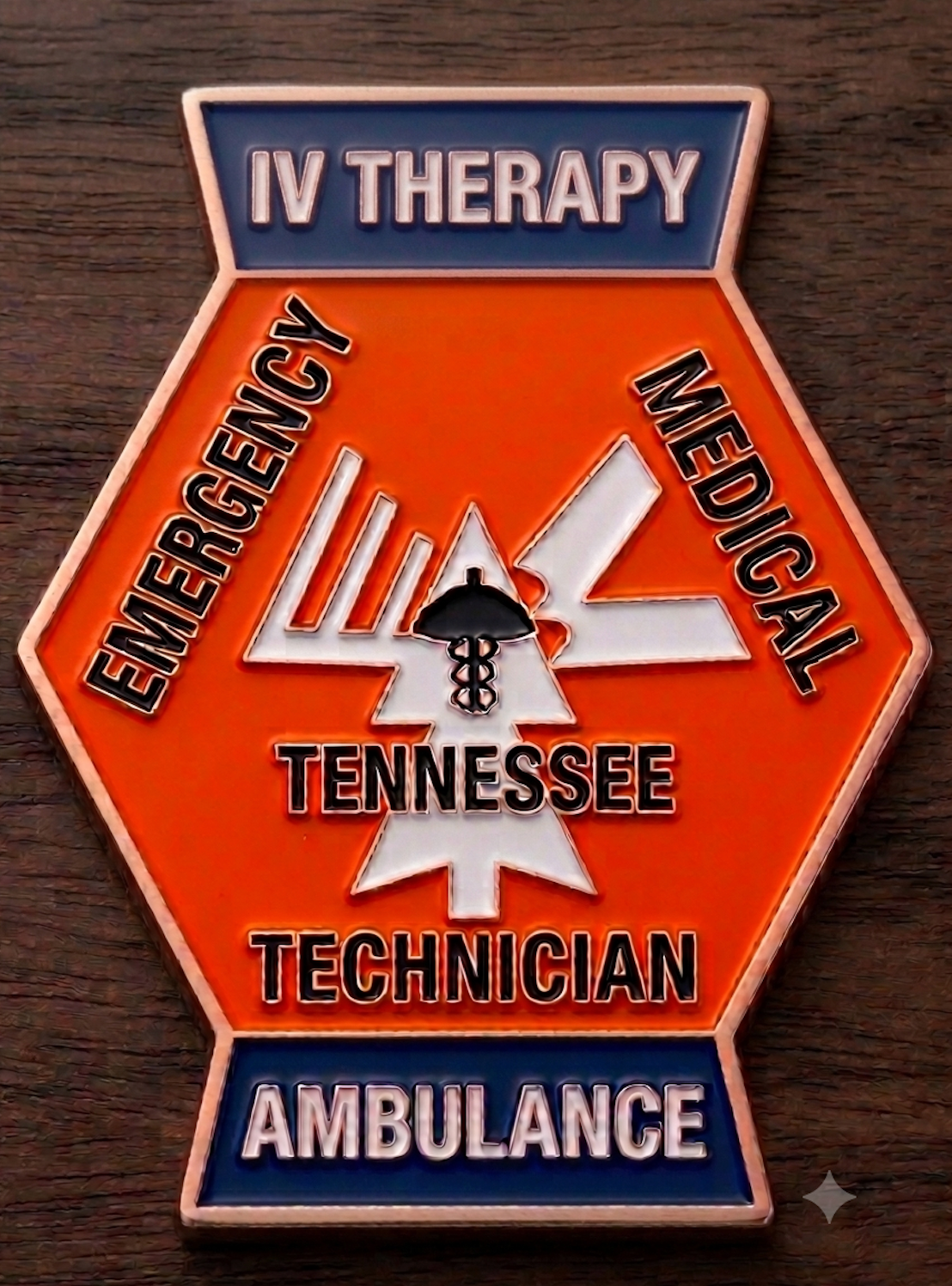 Retro Tennessee EMS Patch Challenge Coins